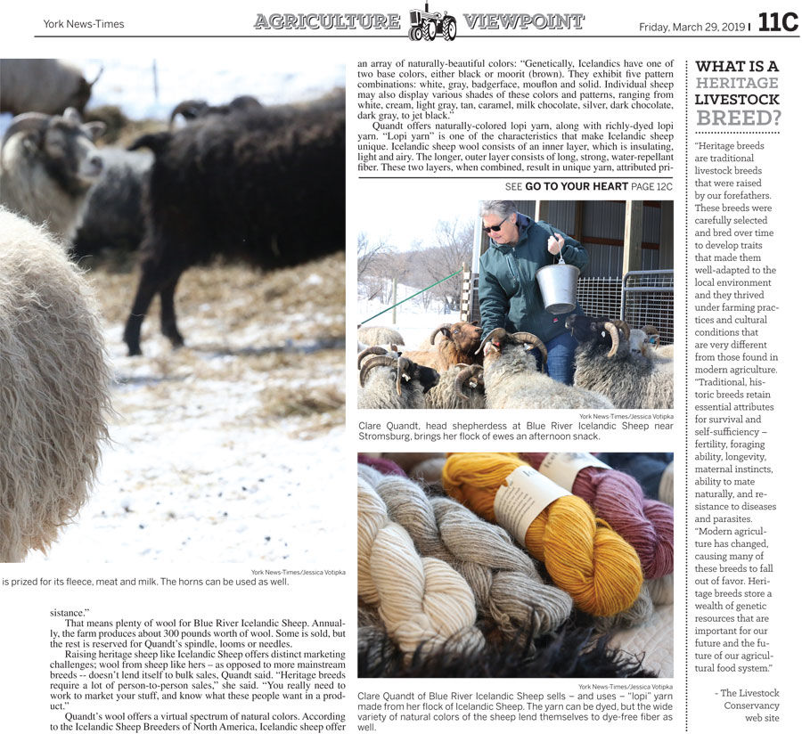 19 Ag Viewpoint.indd